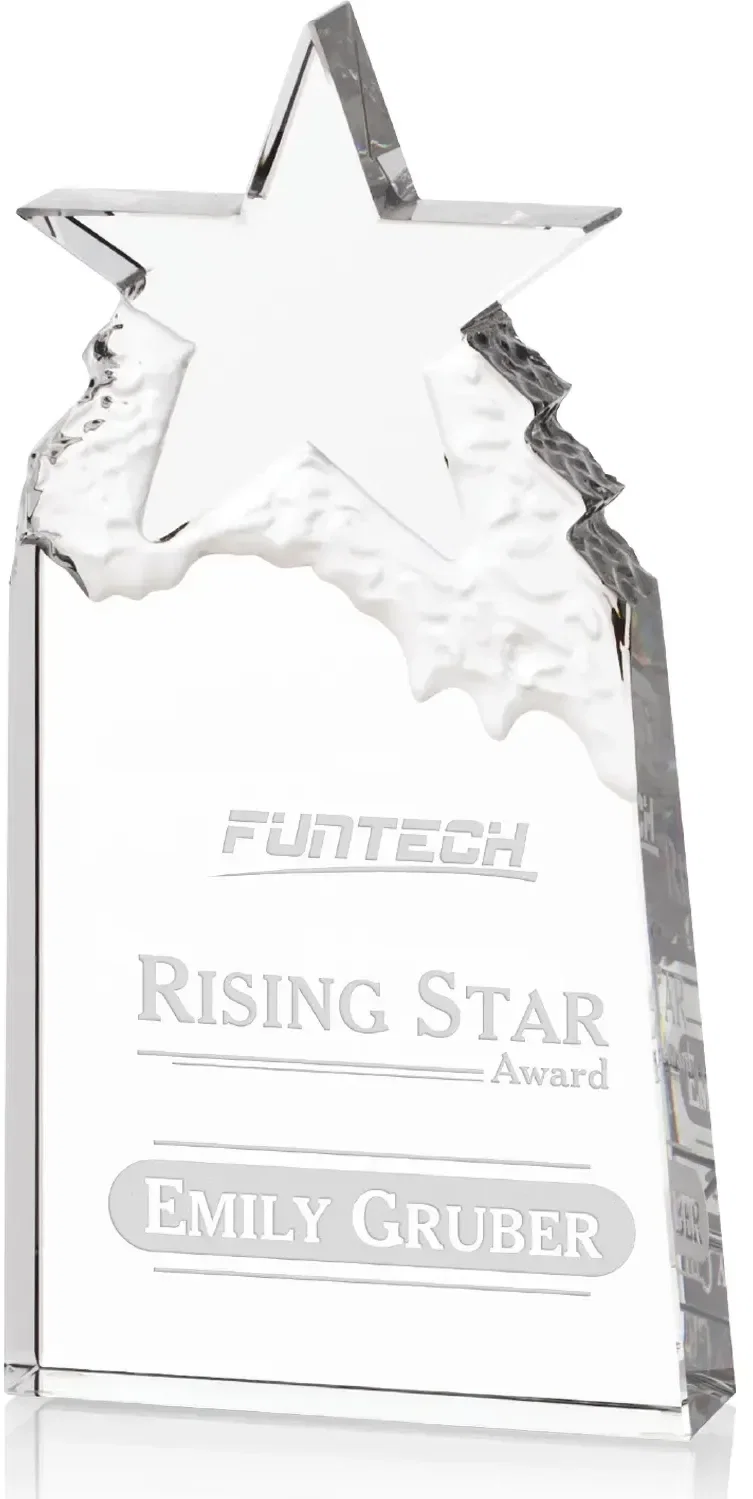 Augustine Award Star Mountain Award — view 3