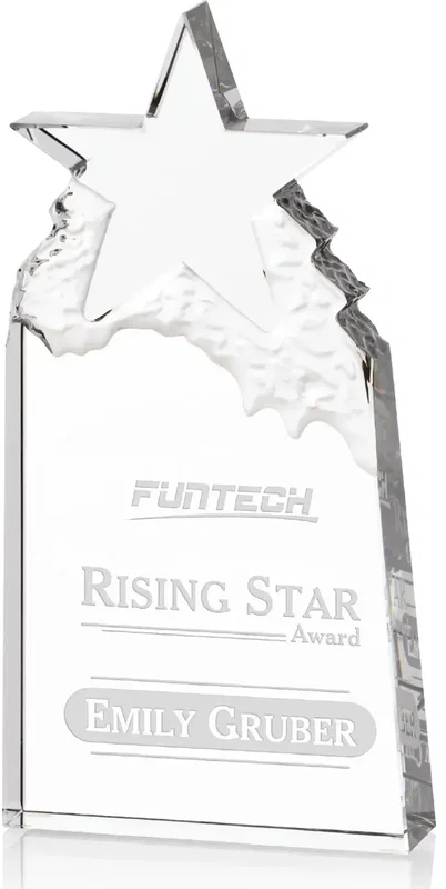 Augustine Award Star Mountain Award — view 3
