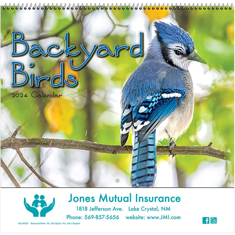 Backyard Birds Wall Calendar: 2024 Spiral Bound — view 1