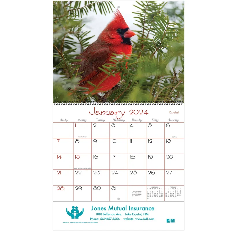 Backyard Birds Wall Calendar: 2024 Spiral Bound — view 2