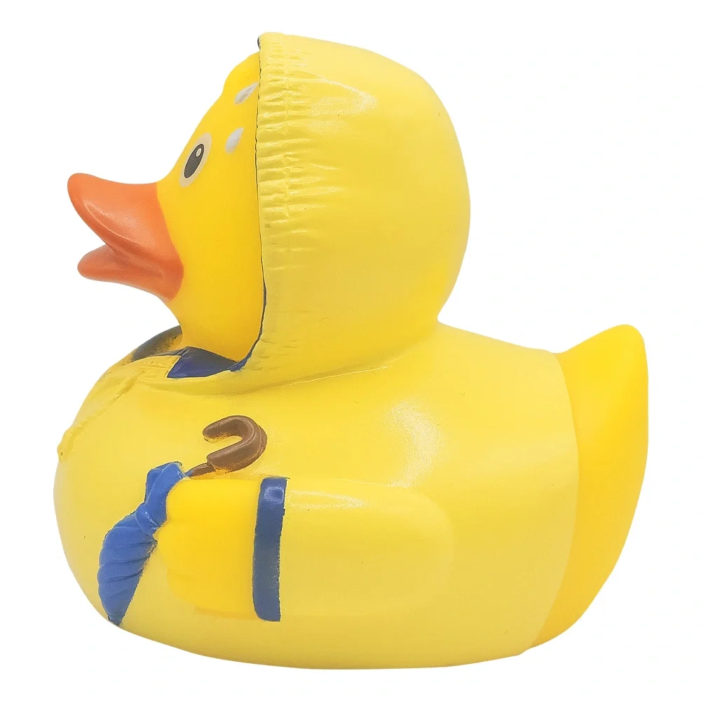 Bad Weather Duck — view 4