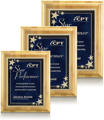 Bamboo/Starburst Plaque