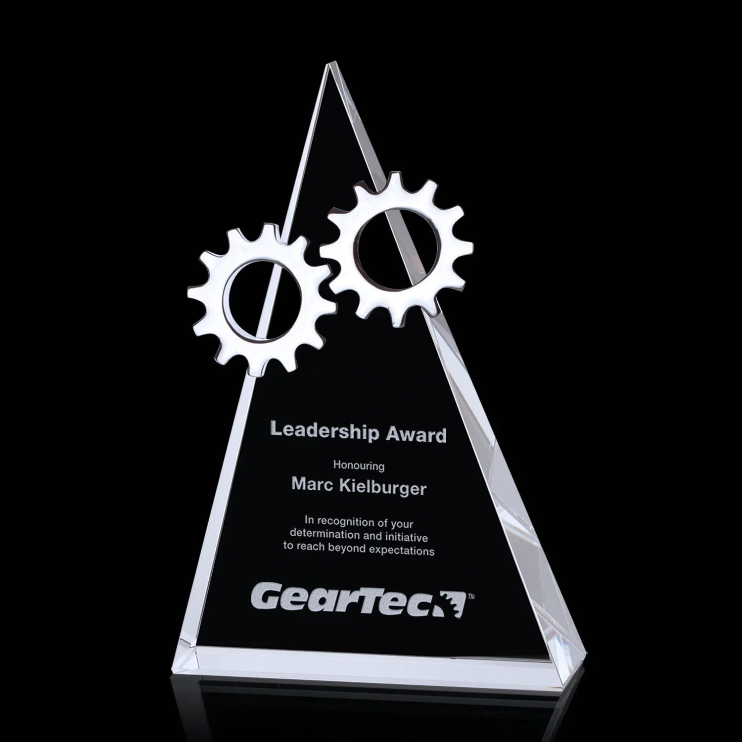 Barnard Gear Award — view 2
