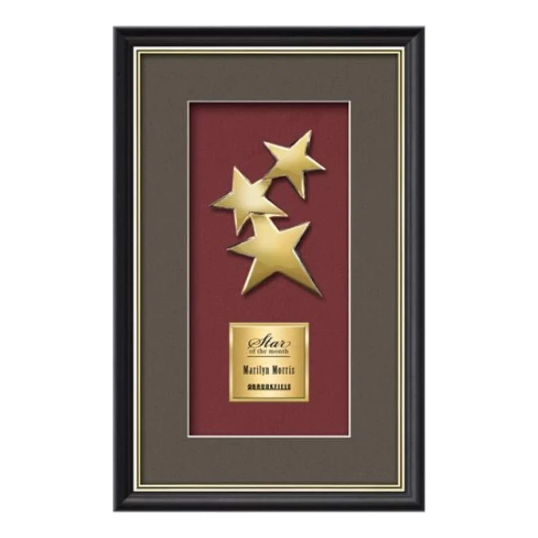 Custom Gold-Plated Cast Constellation Shadow Box Award for employee recognition