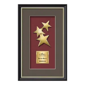 Gold-Plated Cast Constellation Shadow Box Award