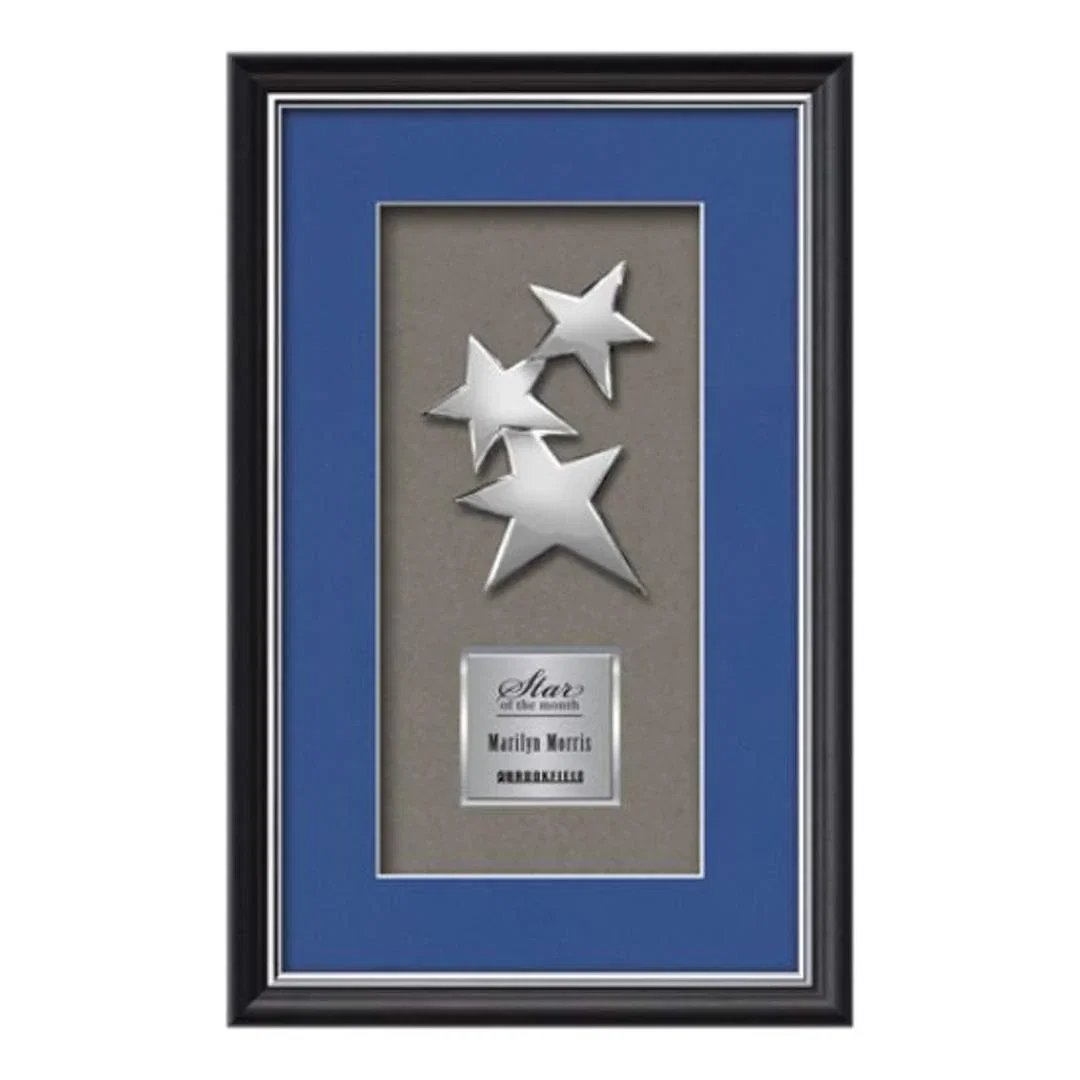 Custom Chrome-Plated Cast Constellation Shadow Box Award for employee recognition