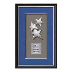 Chrome-Plated Cast Constellation Shadow Box Award