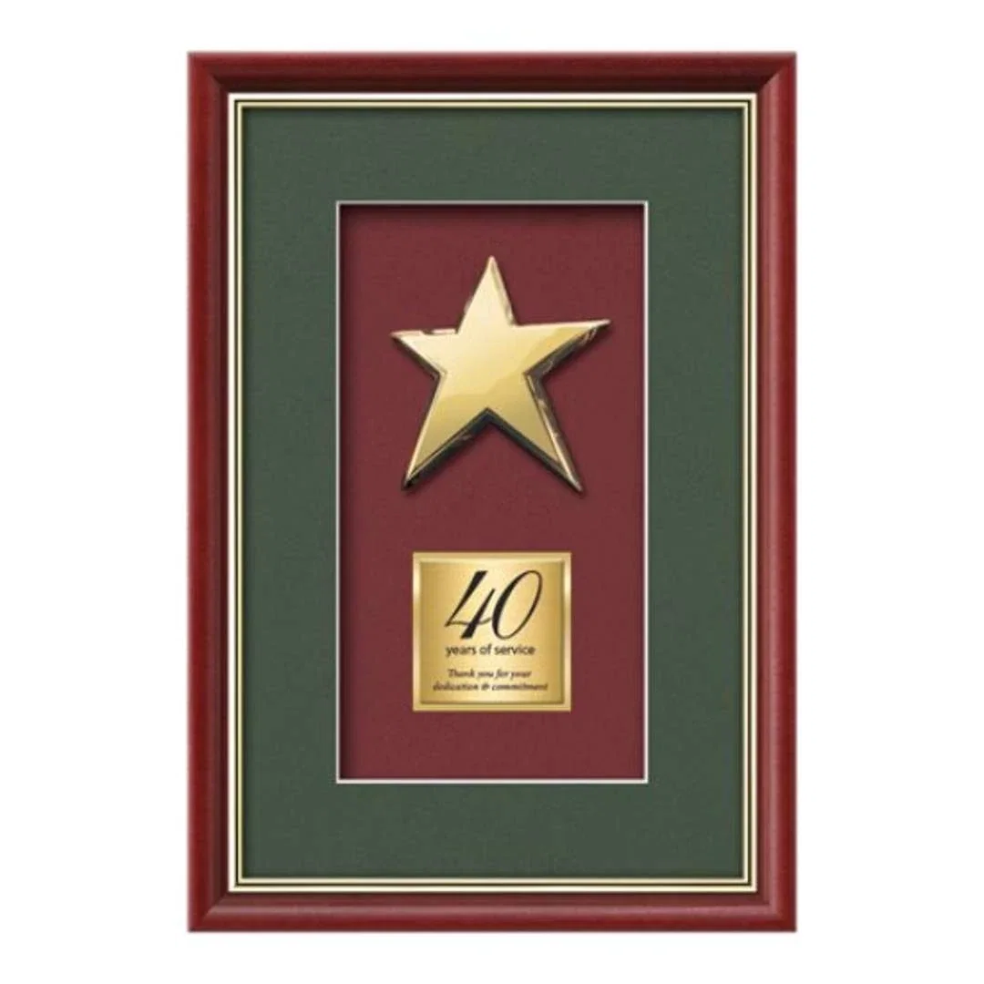 Custom Gold-Plated Cast Rising Star Shadow Box Award for employee recognition