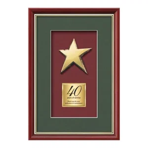 Gold-Plated Cast Rising Star Shadow Box Award