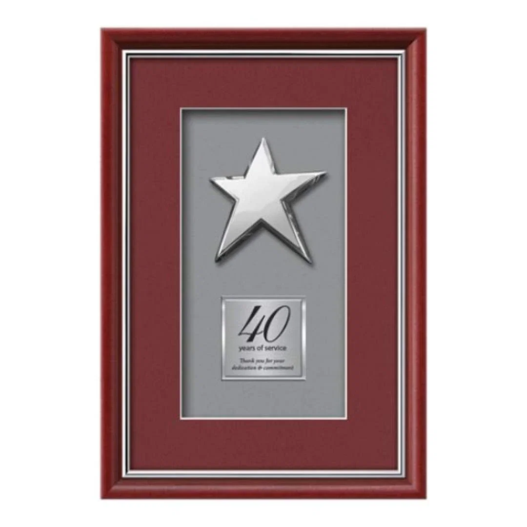 Custom Chrome-Plated Cast Rising Star Shadow Box Award for employee recognition