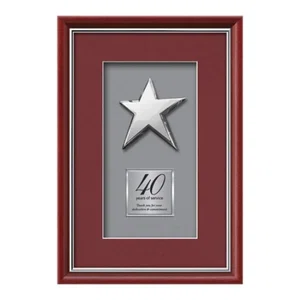 Chrome-Plated Cast Rising Star Shadow Box Award