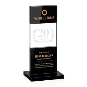 Black and Clear Optical Crystal Award with Intersecting Panel