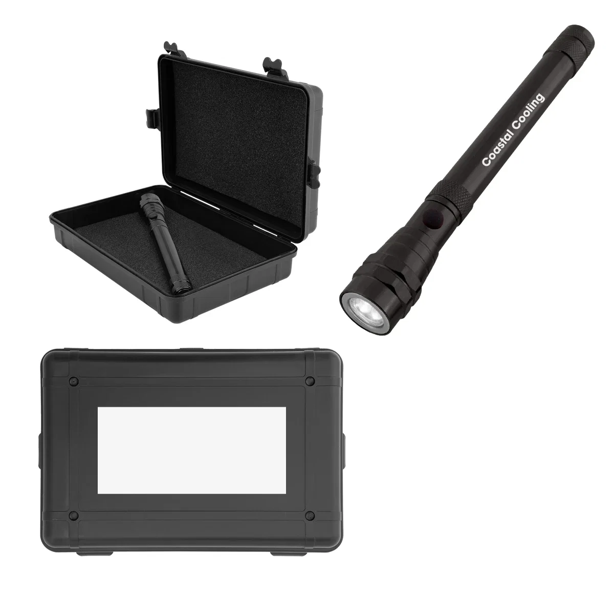 Compact shell measuring under seven inches tall