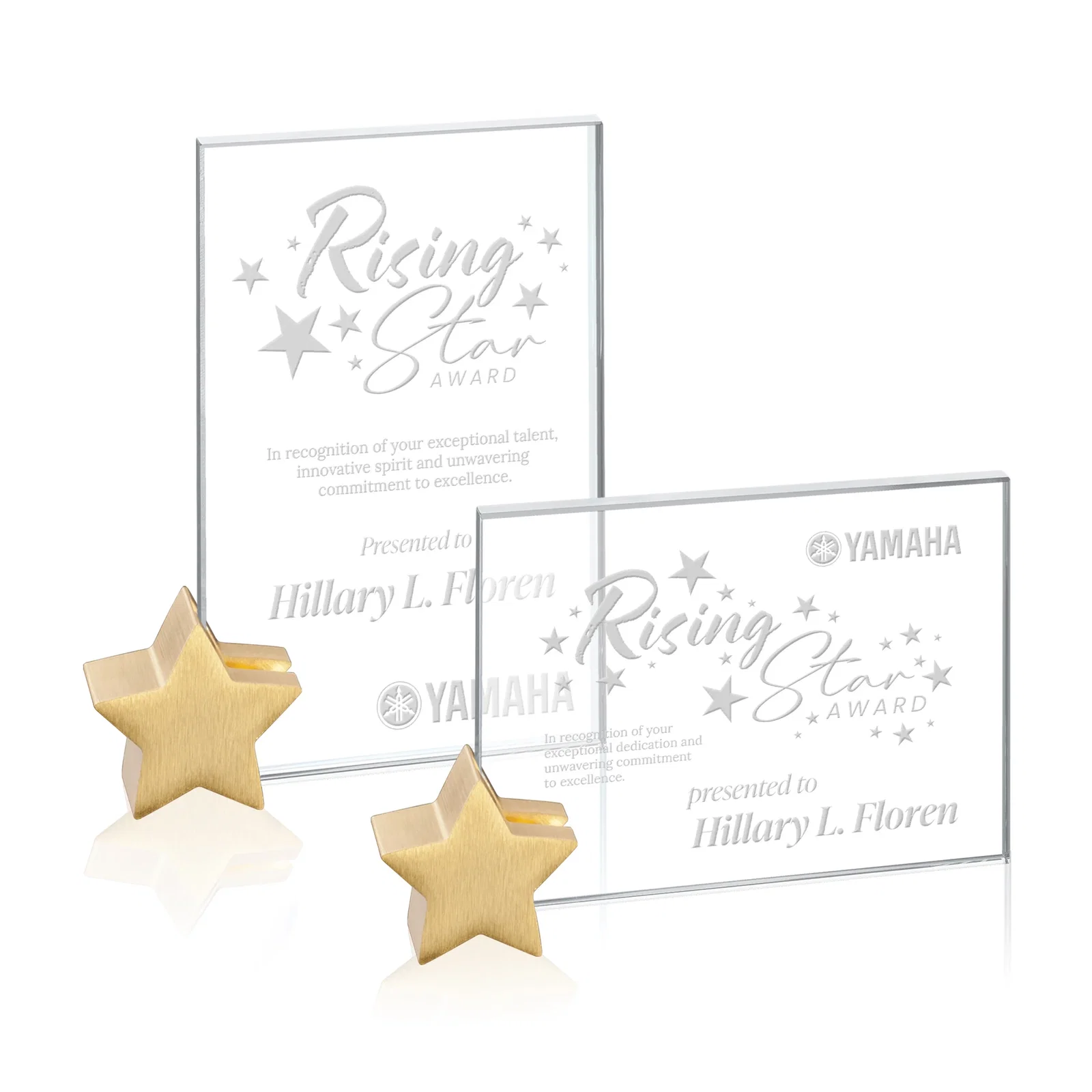 Custom Starfire Crystal Rectangle Award on Aluminum Star Holder for donor appreciation