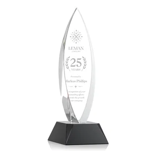 Birchwood Teardrop Custom Crystal Award