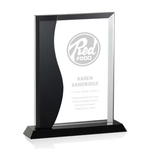 Black Curve and Clear Rectangle Crystal Award