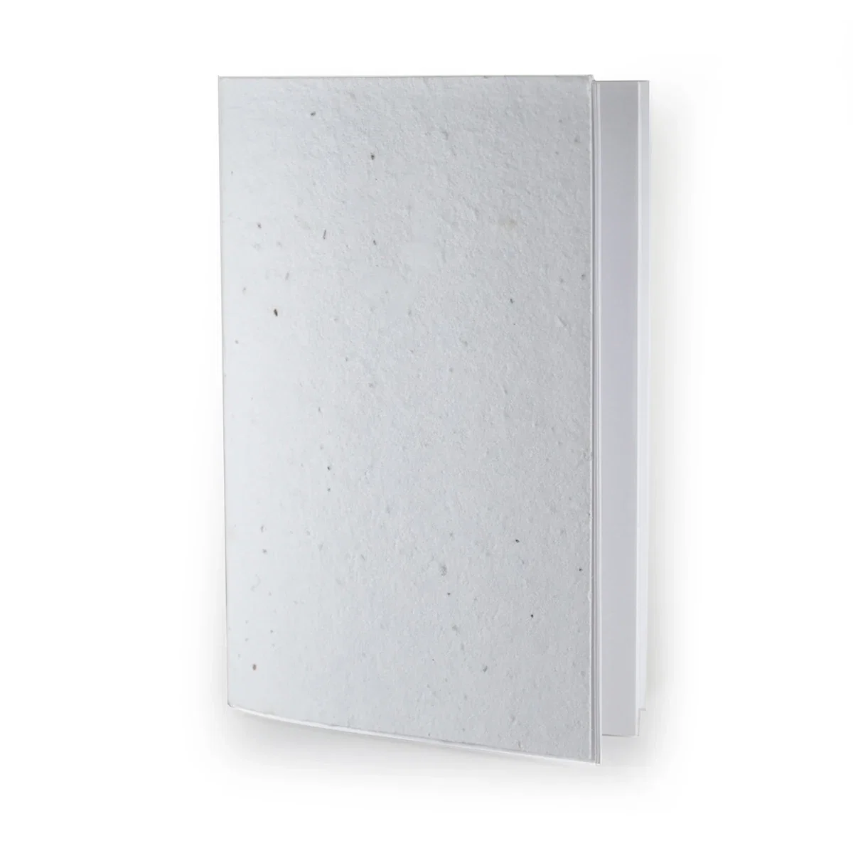 Profile view of the seed paper notebook against a plain backdrop