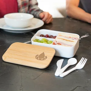 Bountiful Bento Box