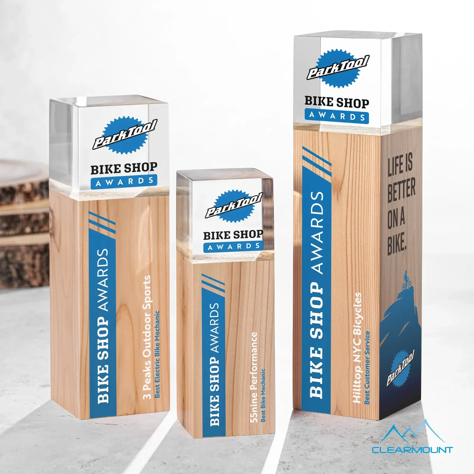 Branche Award — view 2