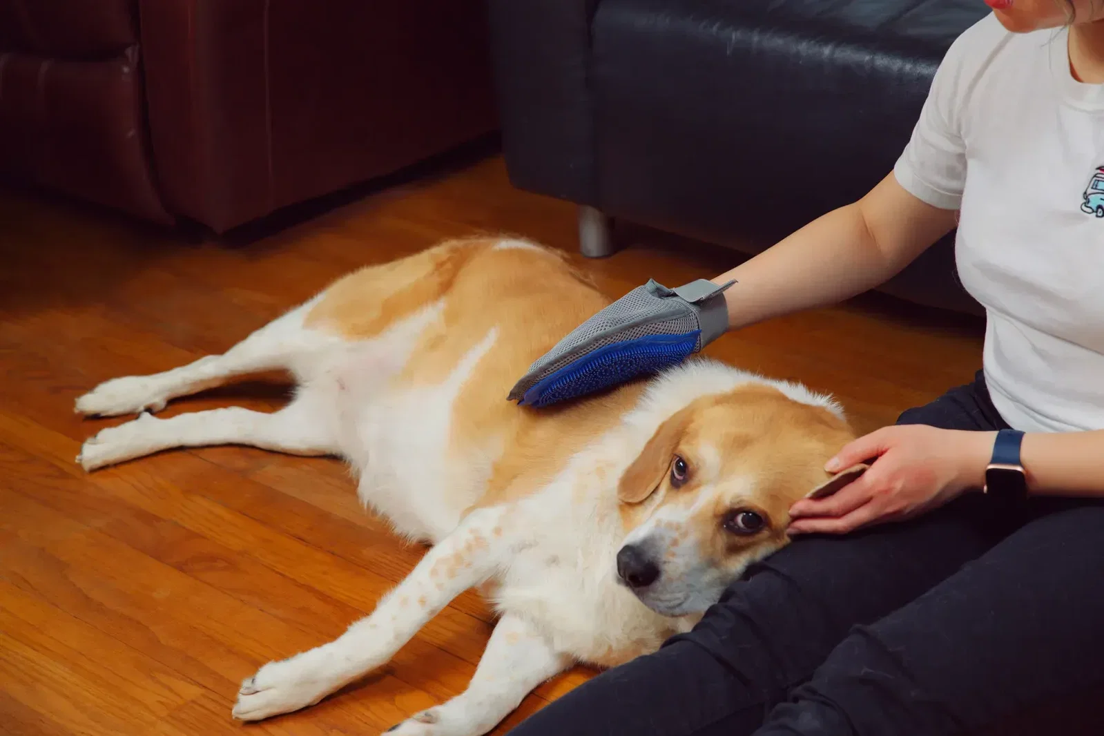 Breeder Dual-Sided Pet Grooming Glove in use