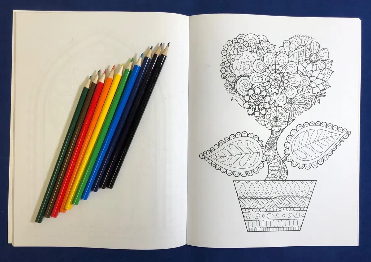 Brighter Minds - Adult Coloring and Large Print Puzzle Book — view 3