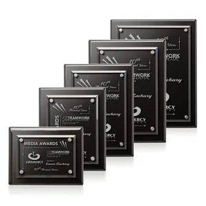 Starfire Crystal Wall Plaque with Drop Shadow Backing