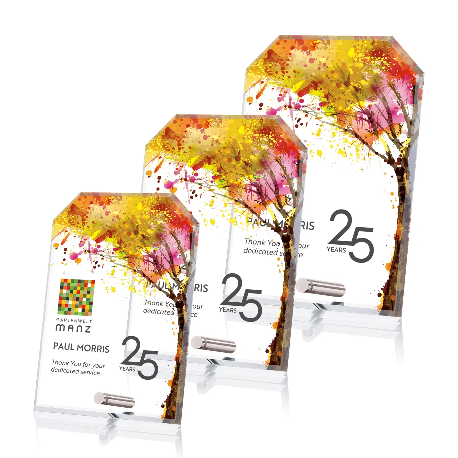 Custom Starfire Crystal Clipped-Rectangle Award in Clear, Gold, or Silver, awards for employee recognition