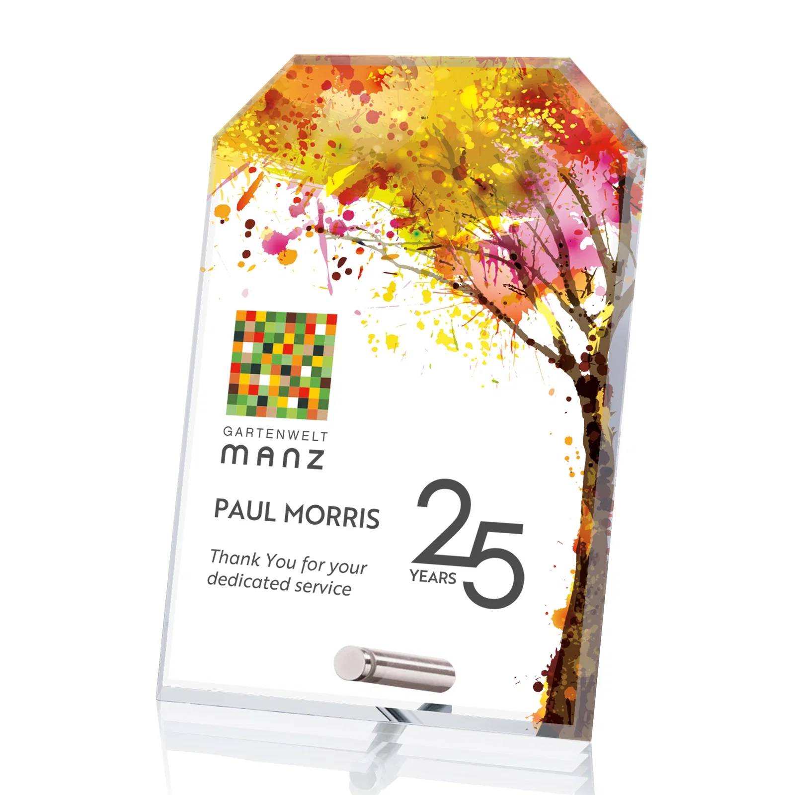 Custom Starfire Crystal Clipped-Rectangle Award in Clear, Gold, or Silver, awards for donor appreciation