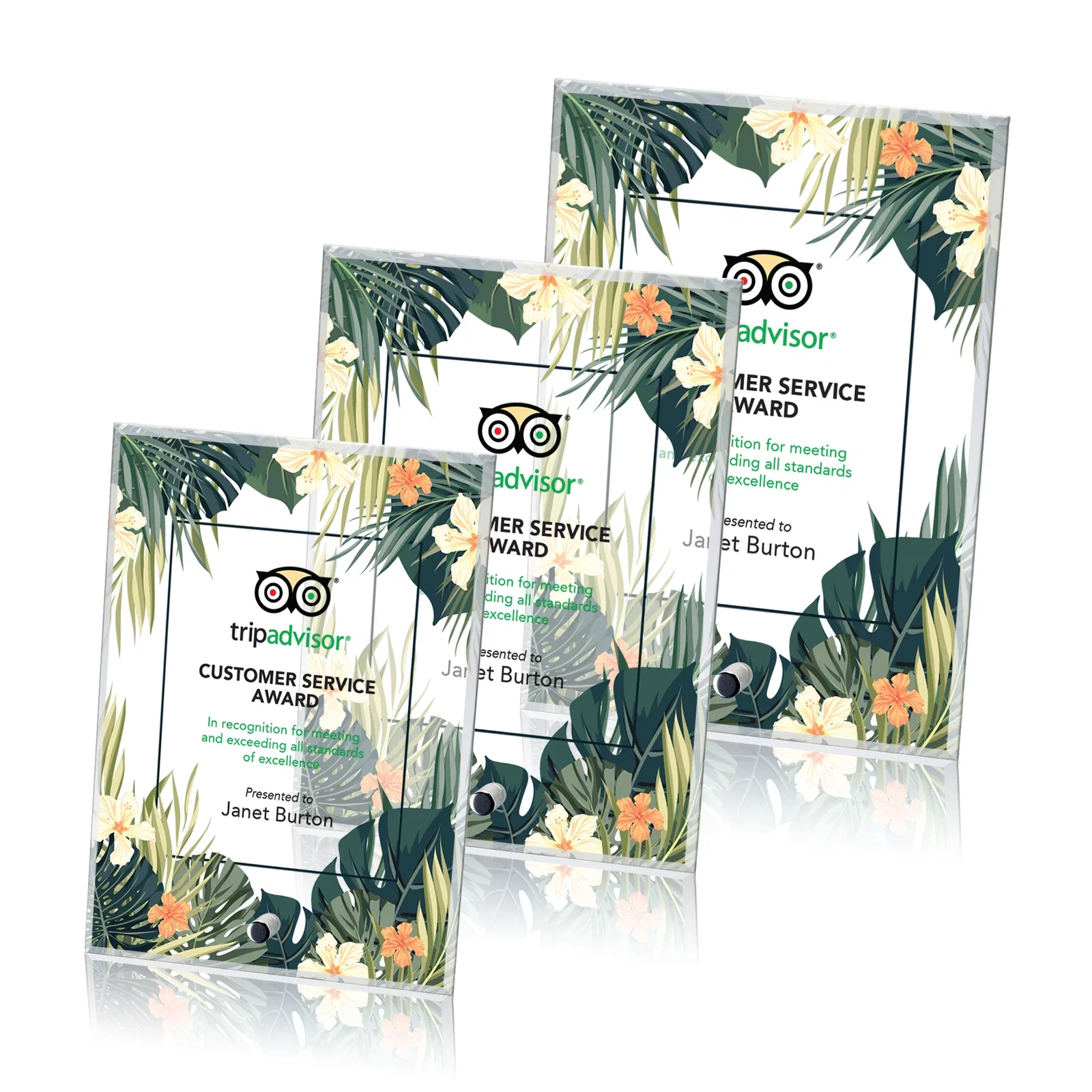Custom Starfire Crystal Rectangle Award With a Chrome or Gold Pin, awards for employee recognition