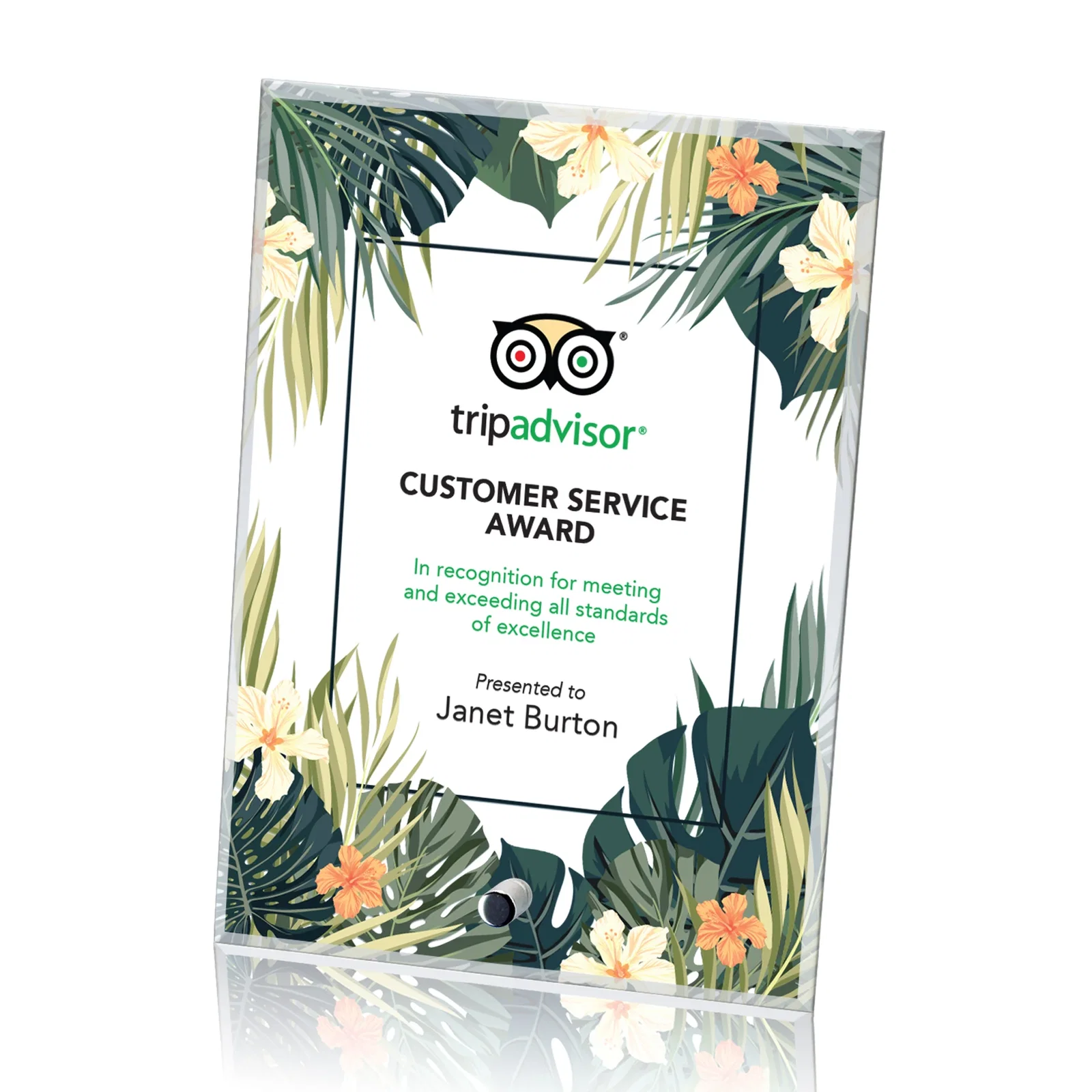 Custom Starfire Crystal Rectangle Award With a Chrome or Gold Pin, awards for donor appreciation