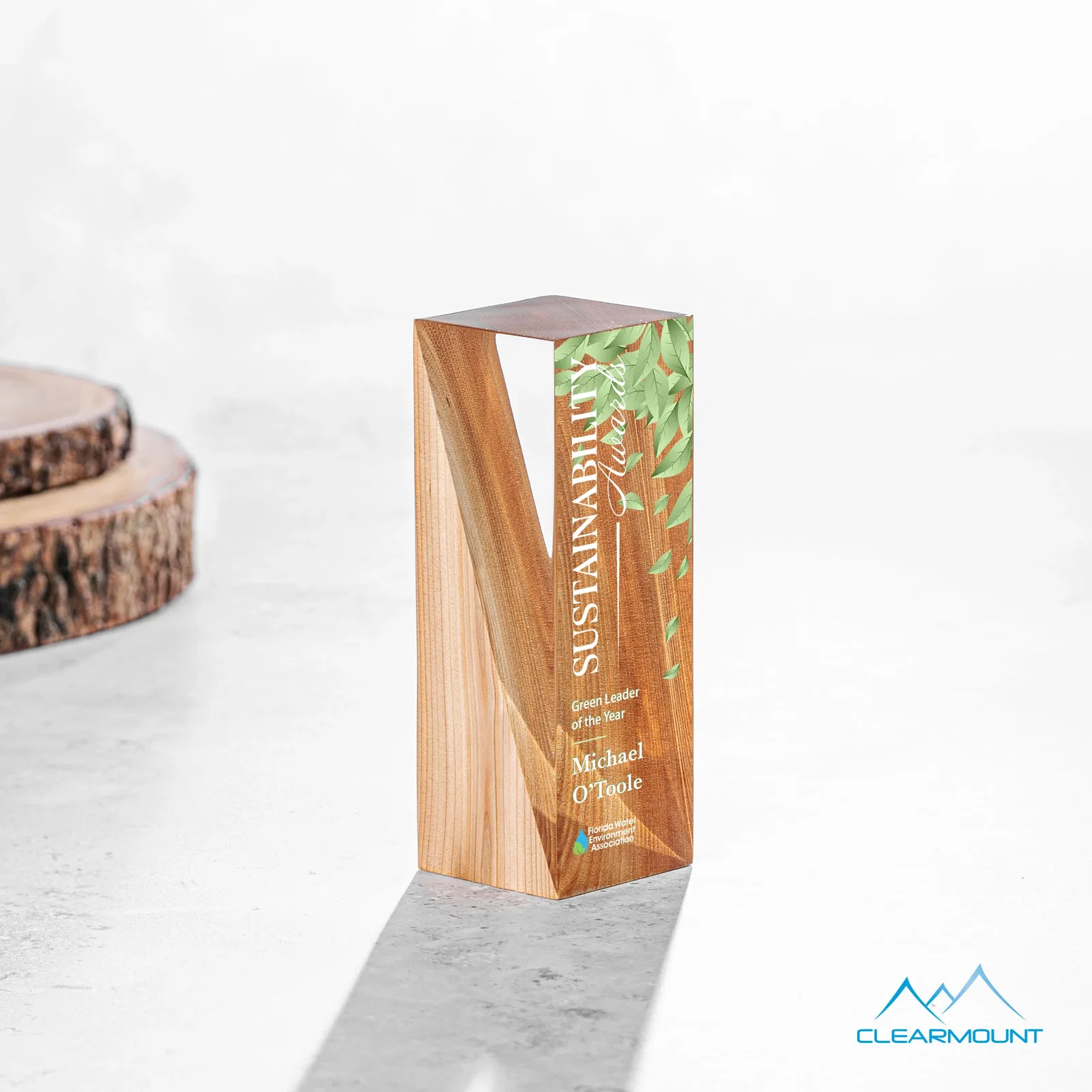 Cascades Award — view 16