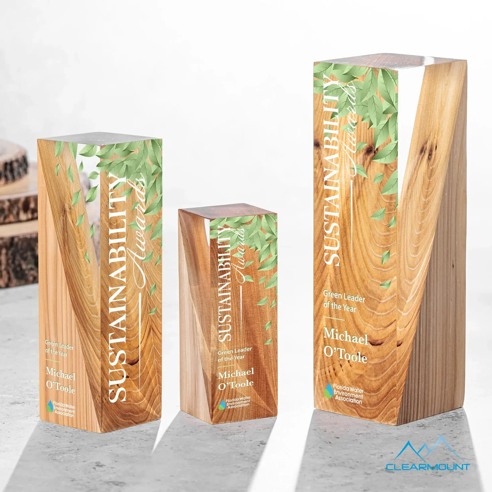 Cascades Award — view 2