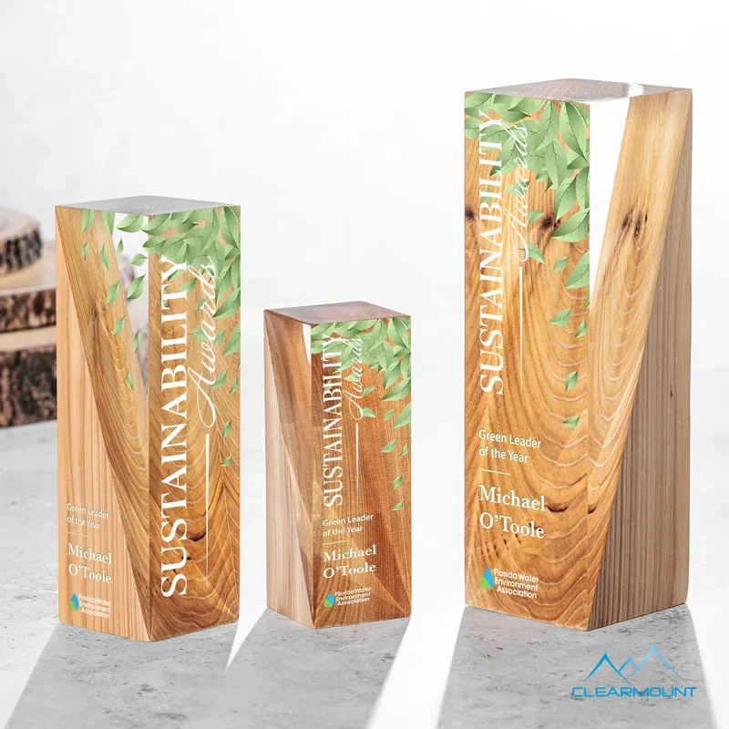 Cascades Award — view 2