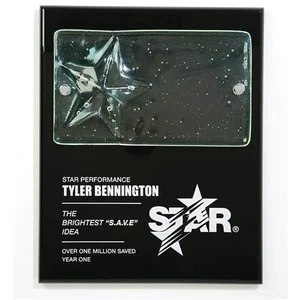 Cast Glass Star Plaque on Wood with Silver Risers