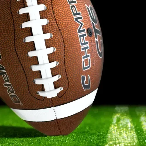 ChamPro Full Size Footballs (14") — view 2