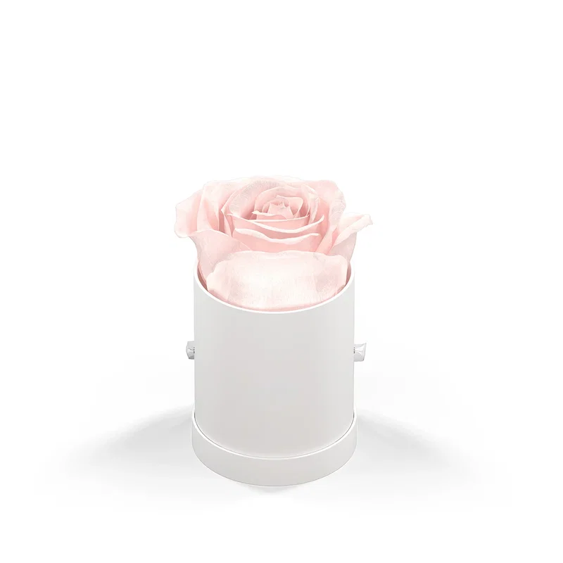 Classique by VeF Le Mini™ Round — view 13