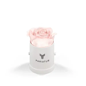 Classique by VeF Le Mini™ Round