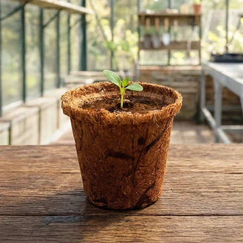 Coco Coir Planter Seed Kit with natural coconut coir container, seeds and soil disk