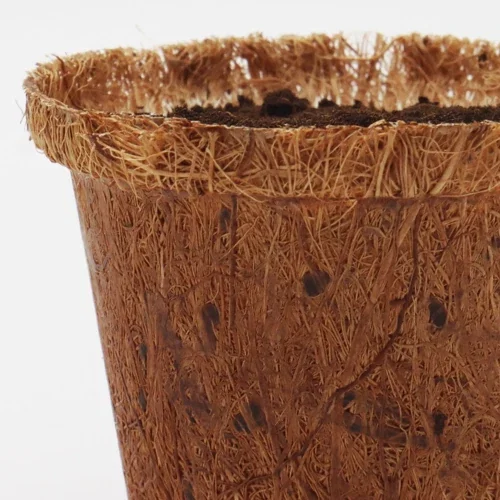 Coco Coir Planter Seed Kit shown ready to plant flowers or herbs at a desk
