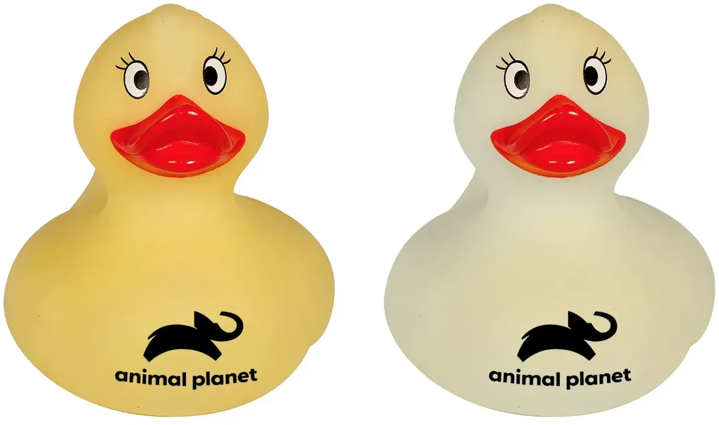 Custom Color Changing Duck — view 5