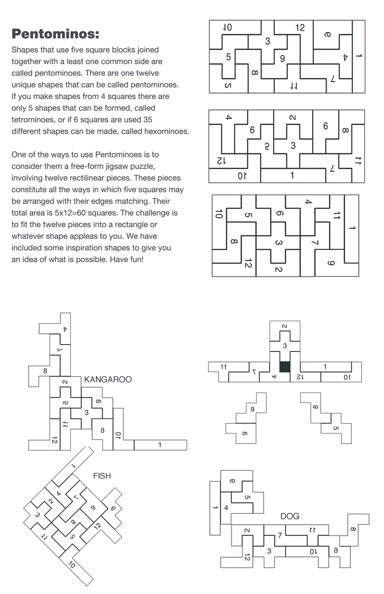 Color Wood Shapes Challenge Puzzle — view 3