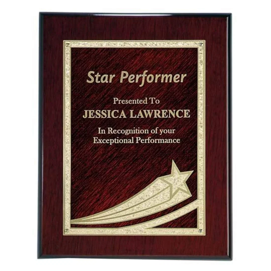 Comet Plaque — view 5
