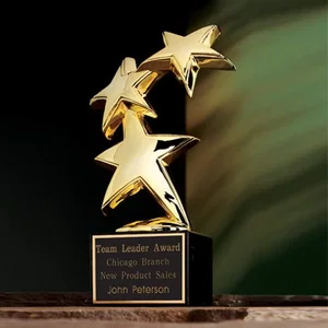 Gold Cast Metal Constellation Star Award on Black Marble
