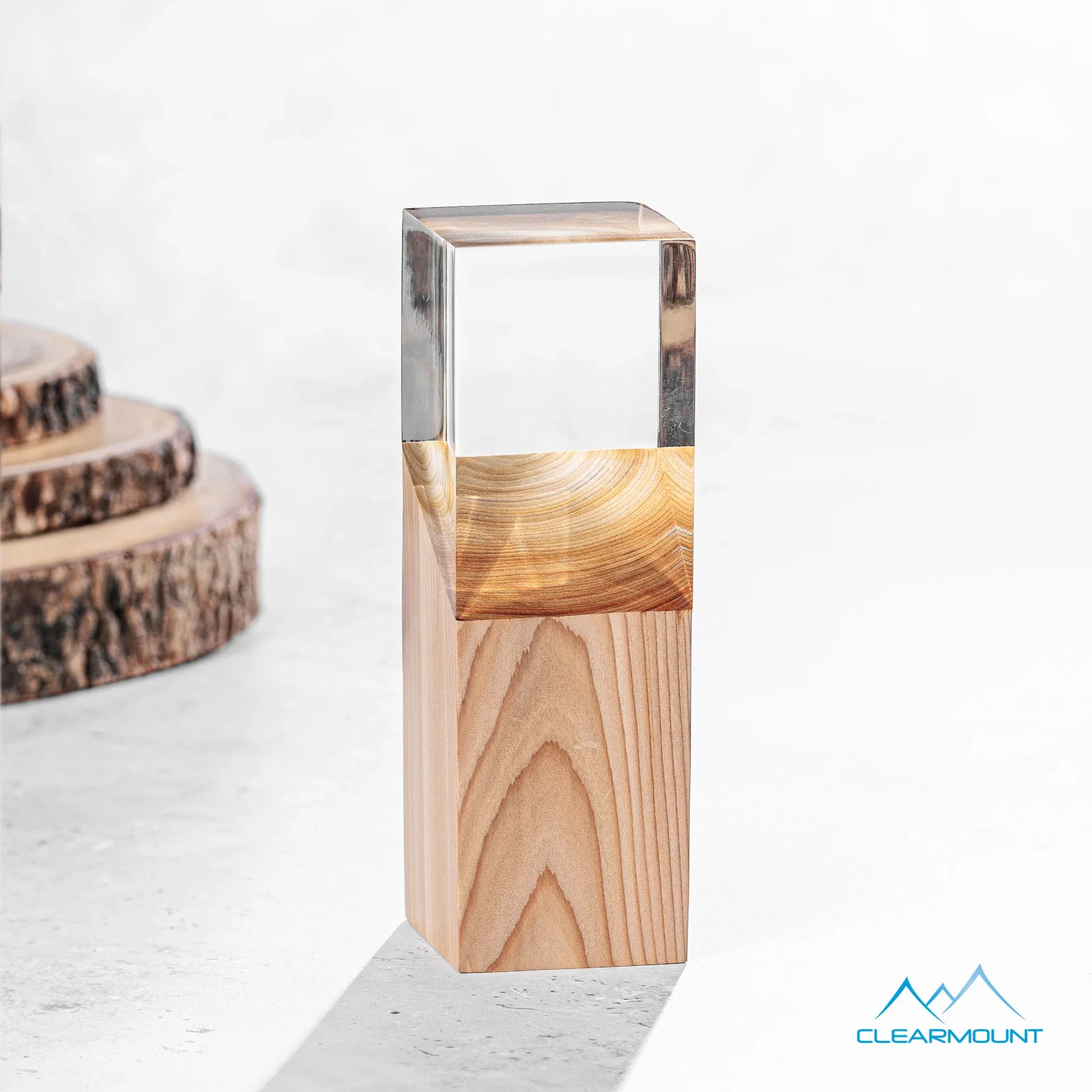 Custom Acrylic and Wood Tower Award, Engrave or Print on Either Material for dealer and partner awards
