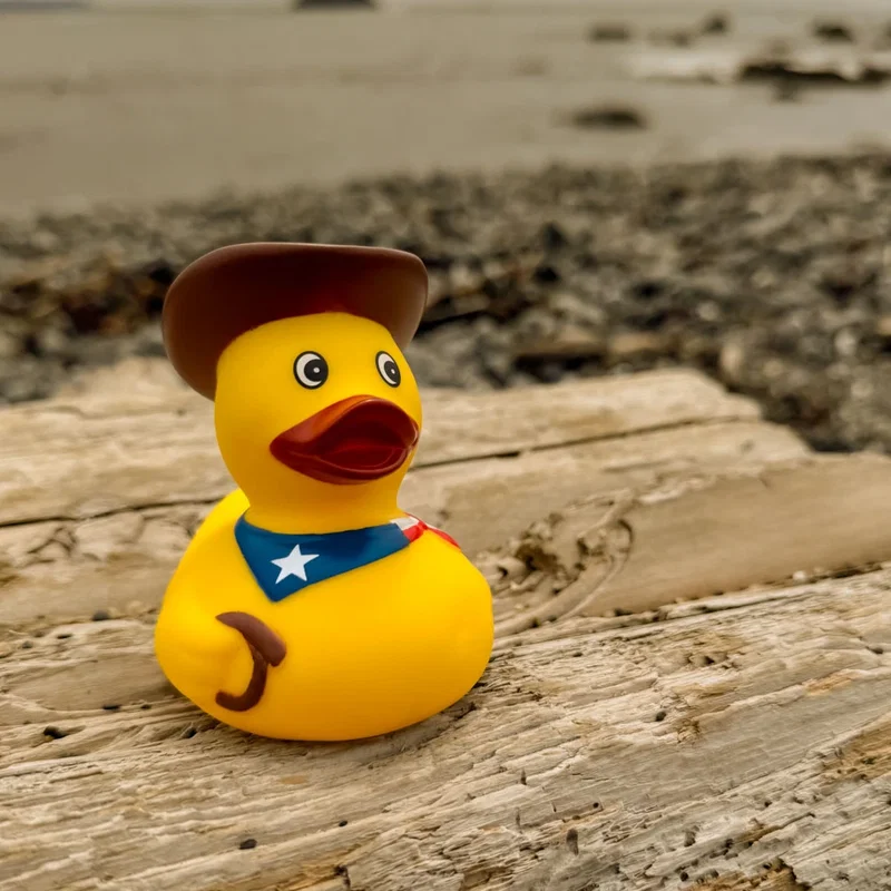 Cowboy Duck — view 5