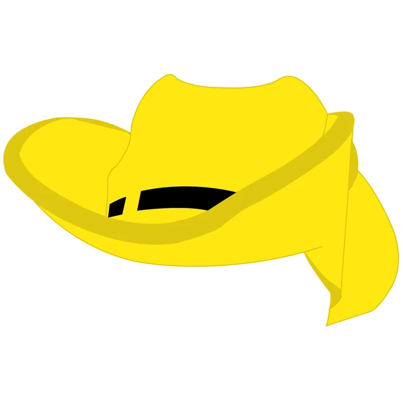 Cowboy Hat Visor — view 13