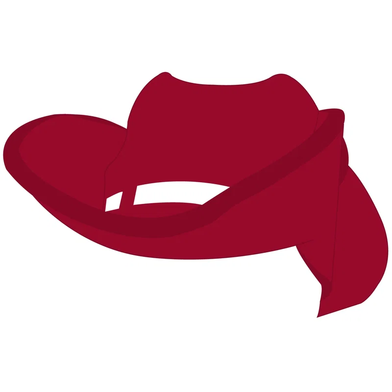 Cowboy Hat Visor — view 17