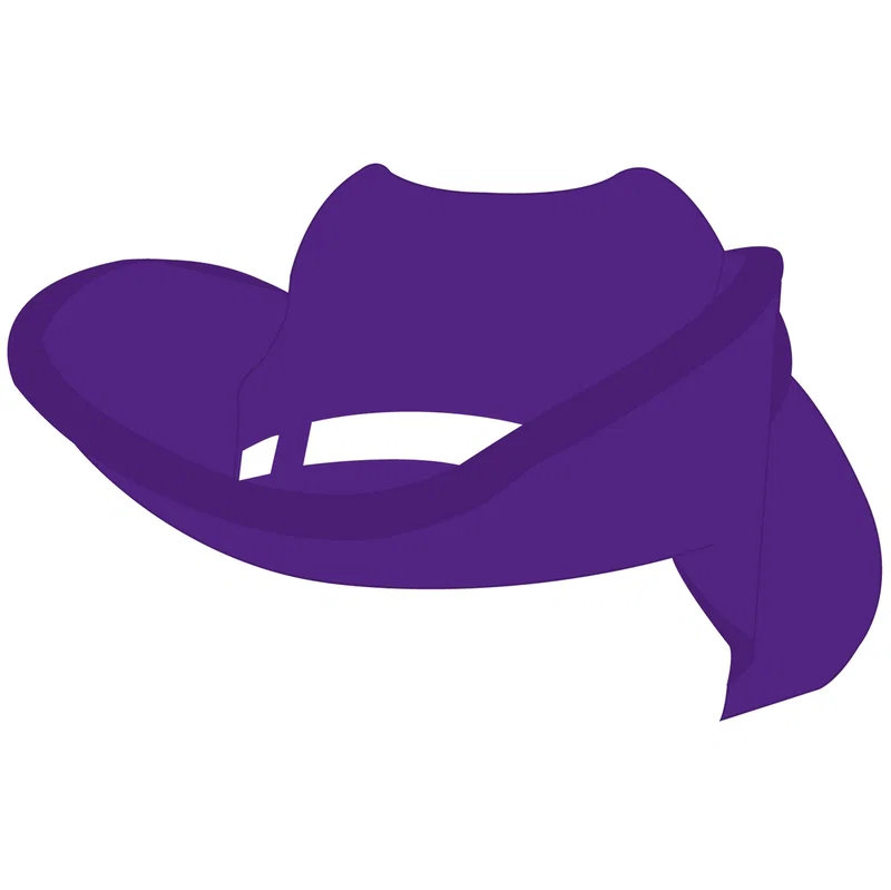 Cowboy Hat Visor — view 5