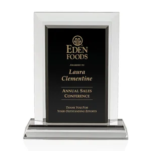 Crystal Award with Beveled Display Border