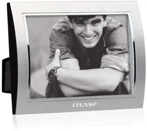 Curvo Frame - Silver